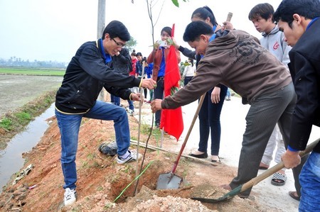 Danang lance son « Tet de plantation d’arbres » 2014 - ảnh 1